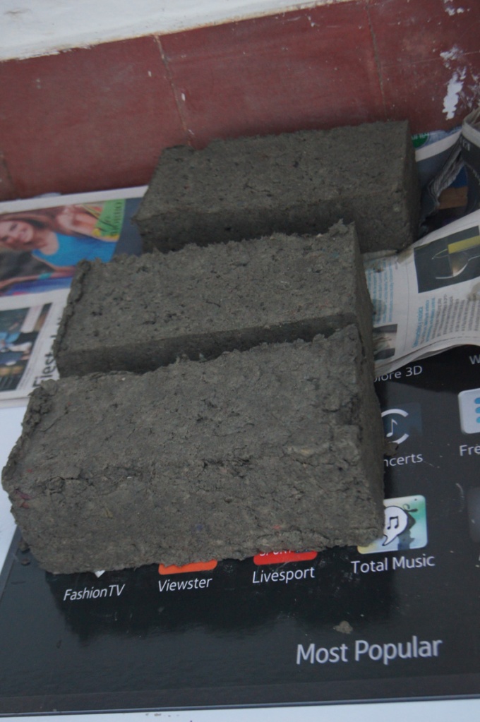 ... others chose brick making from newspaper, egg cartons, and other materials...